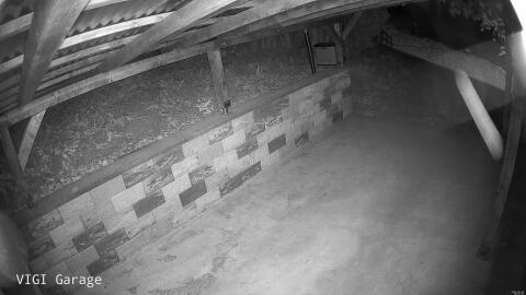 495-20260503002545-39.jpg