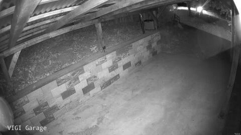 530-20260503020439-21.jpg