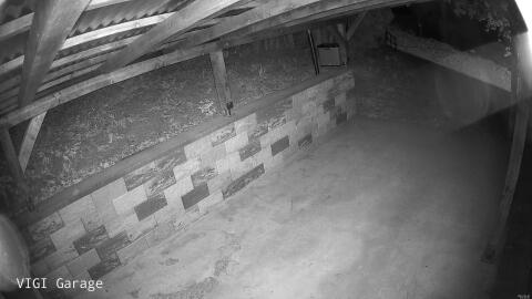 565-20260503043841-47.jpg