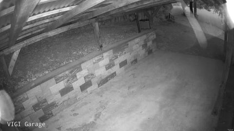 944-20260505203813-21.jpg