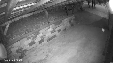 945-20260505203943-18.jpg