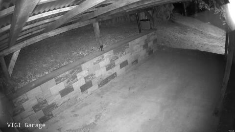 981-20260505232437-18.jpg