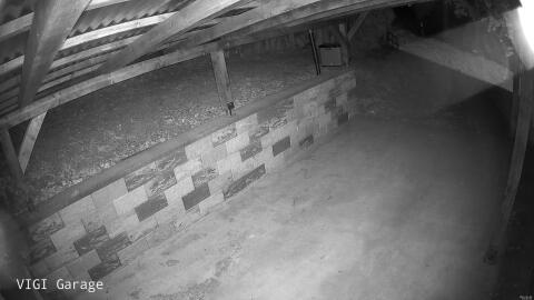 1011-20260506040332-39.jpg