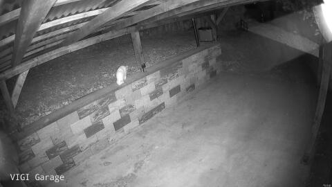1021-20260506044905-14.jpg
