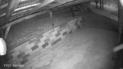 1030-20260506204255-45.jpg