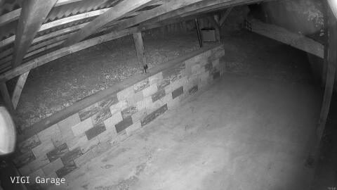 1039-20260506211053-22.jpg
