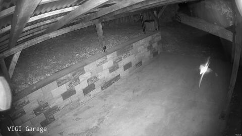 1073-20260506234817-41.jpg