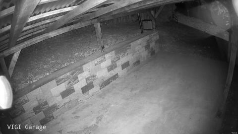 1101-20260507012333-17.jpg