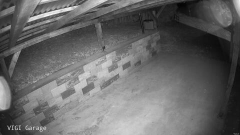 1121-20260507025637-38.jpg