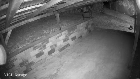1122-20260507025958-33.jpg