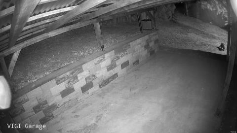 1122-20260507025959-24.jpg
