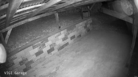 1124-20260507031013-10.jpg