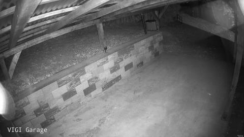 1146-20260507050149-10.jpg