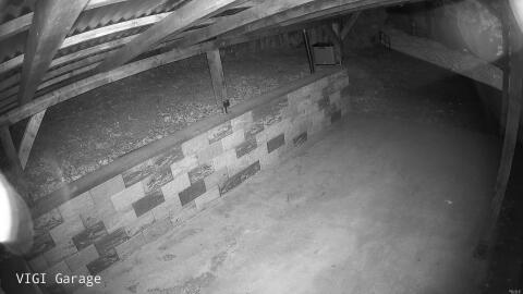 1146-20260507050237-12.jpg