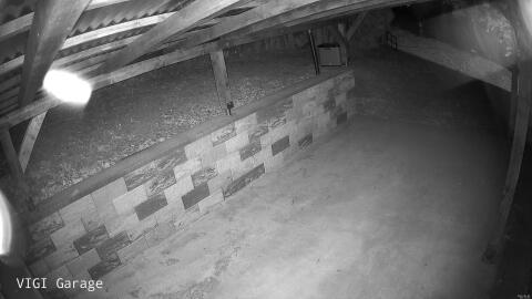 1208-20260508031333-19.jpg
