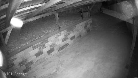 1244-20260509023847-10.jpg