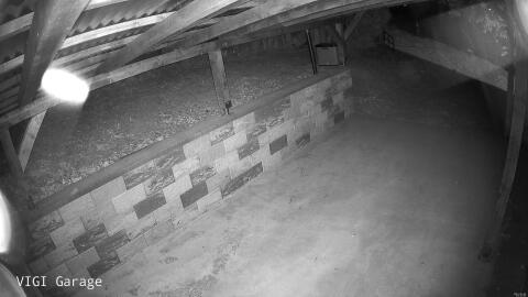 1247-20260509043235-06.jpg