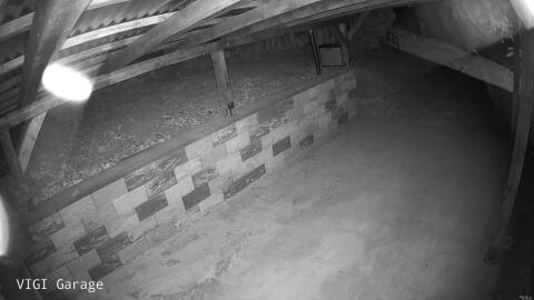 1334-20260511020828-46.jpg