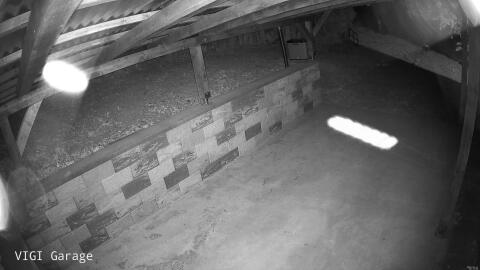 1335-20260511021356-29.jpg