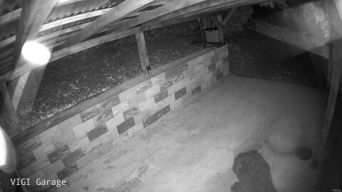 1360-20260511233136-11.jpg