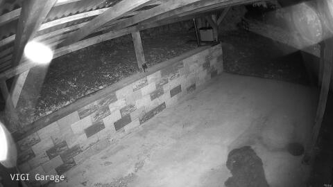 1360-20260511233224-00.jpg