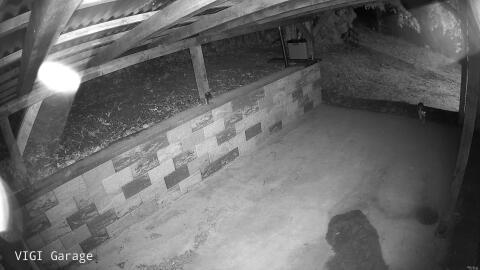 1362-20260511234806-10.jpg