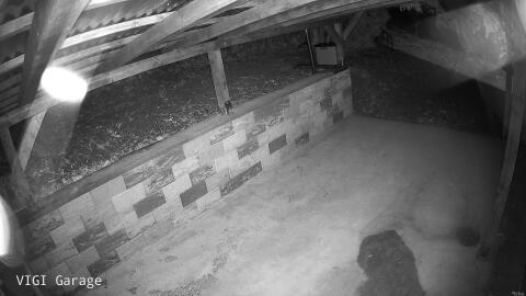 1362-20260511234959-43.jpg