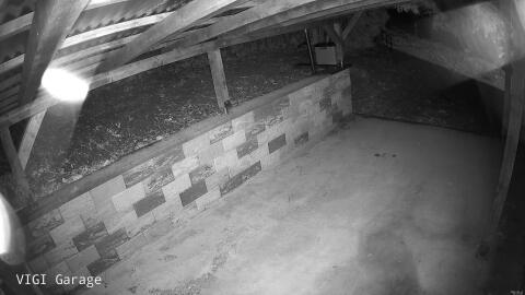 1365-20260512012324-06.jpg
