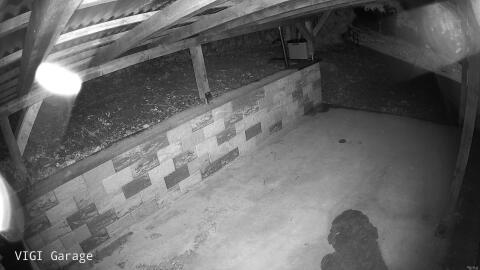1367-20260512021748-01.jpg
