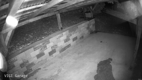 1371-20260512023735-44.jpg
