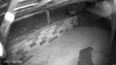 1377-20260512031231-04.jpg