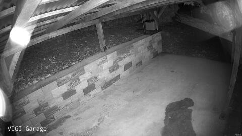 1379-20260512032244-03.jpg