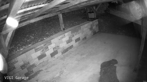 1384-20260512034823-24.jpg