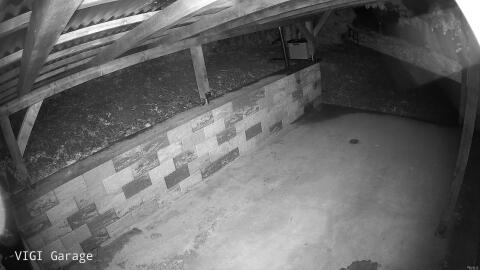 1601-20260515042016-46.jpg