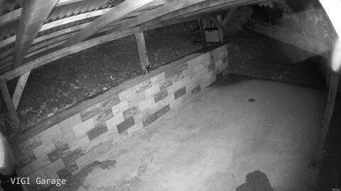1604-20260515043456-51.jpg