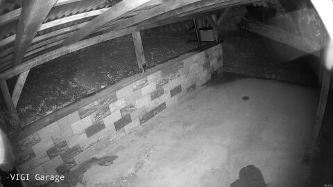 1605-20260515044342-46.jpg