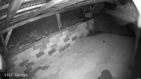 1605-20260515044420-48.jpg