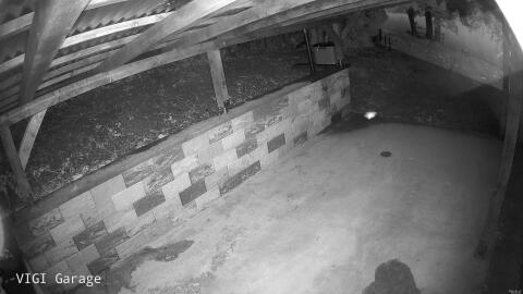 1608-20260515050252-41.jpg