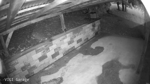 1709-20260516050817-03.jpg