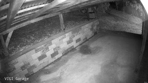 1782-20260517015035-14.jpg