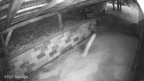 1811-20260517045635-19.jpg