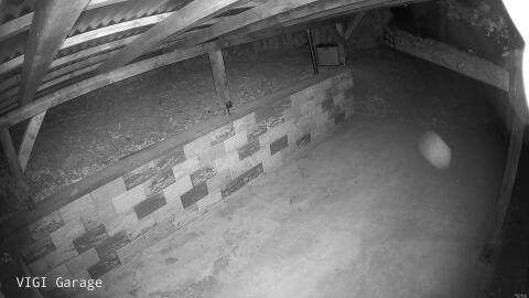 370-20260523031654-50.jpg