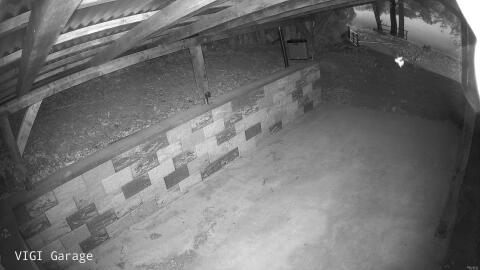 389-20260523044826-14.jpg