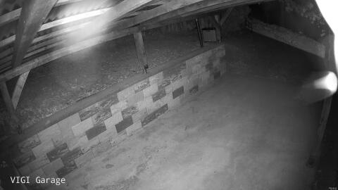 490-20260523224732-11.jpg