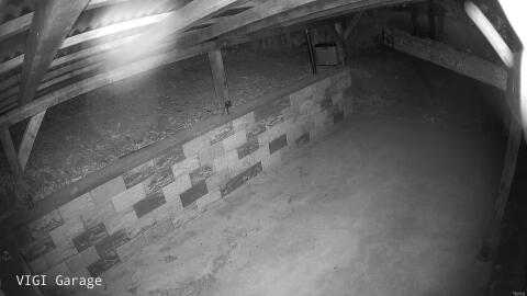 538-20260524042932-02.jpg