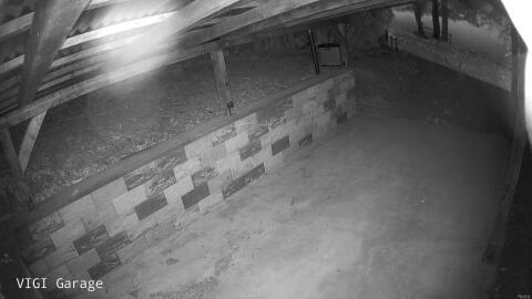 541-20260524044144-10.jpg