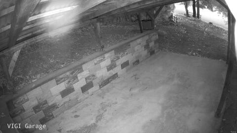 545-20260524045422-17.jpg