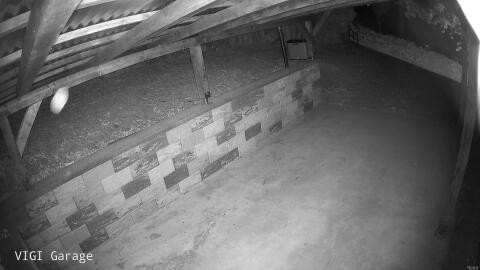 659-20260525035311-35.jpg