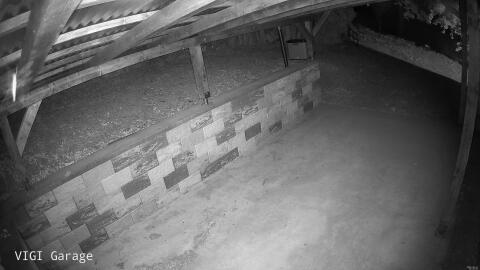 877-20260527012534-15.jpg