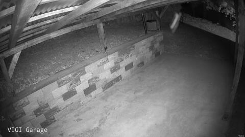 918-20260527035512-36.jpg